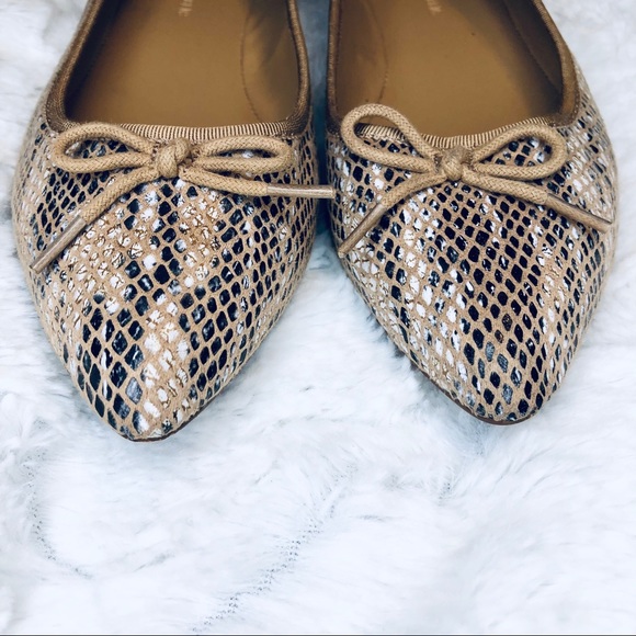 Banana Republic Snake print pointed toe flats - Picture 3 of 5